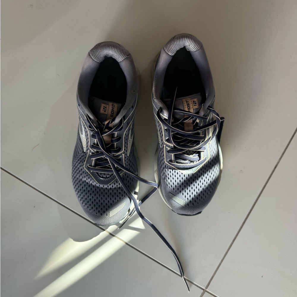 Brooks Ghosts 12